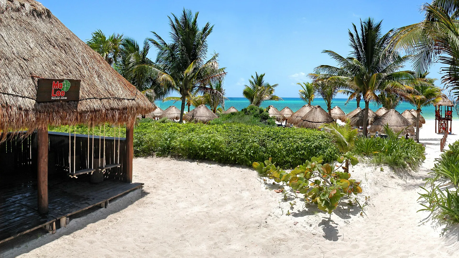 Catalonia Playa Maroma Hotel Punta Maroma Mexico